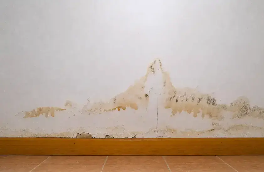Mold prevention Pueblo CO