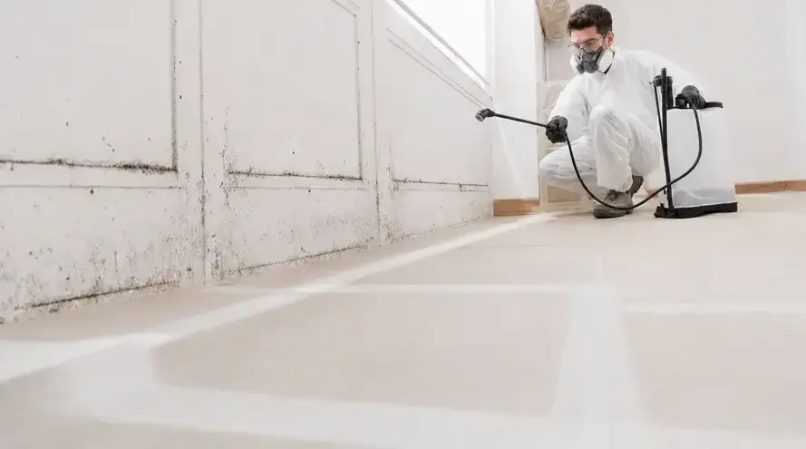 Adams Mold Remediation technician performing Commercial Mold Remediation in a Pueblo, CO home